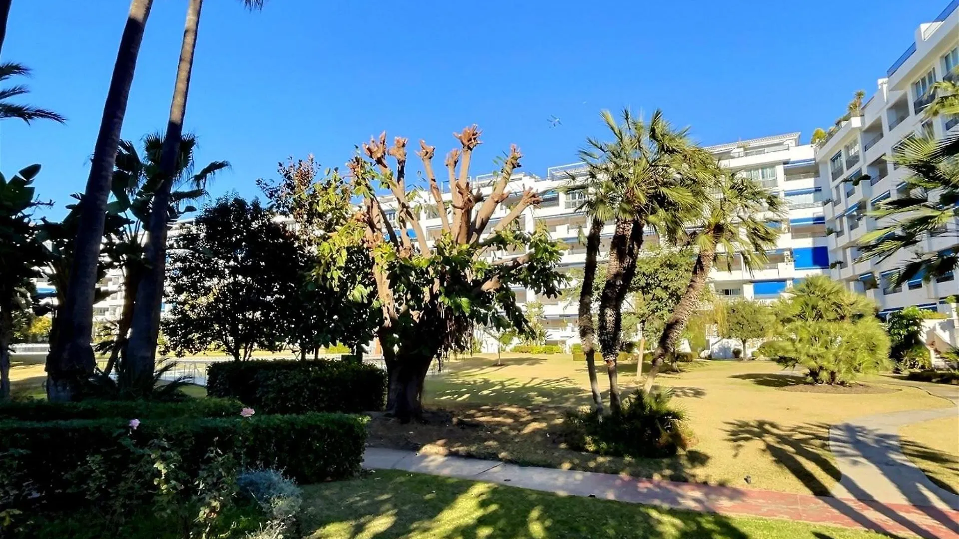 Harbour Heaven 2 Bed, 2 Bath Apartment Steps From Puerto Banus Marina And Beach Marbella 0*,  Spain